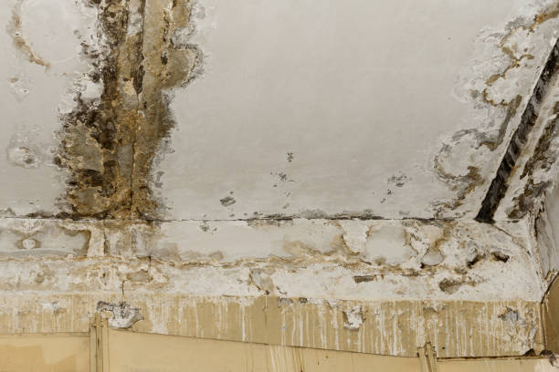 Trusted Fort Dix, NJ Water damage restoration Experts